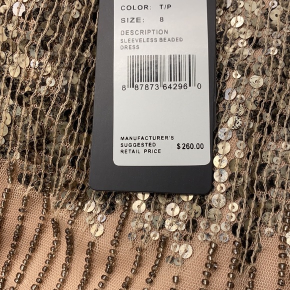 Adrianna Papell illusion sequins mesh cocktail dress - Picture 5 of 9